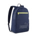 PUMA 091166 PHASE II 4930